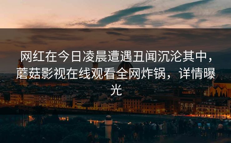 网红在今日凌晨遭遇丑闻沉沦其中，蘑菇影视在线观看全网炸锅，详情曝光