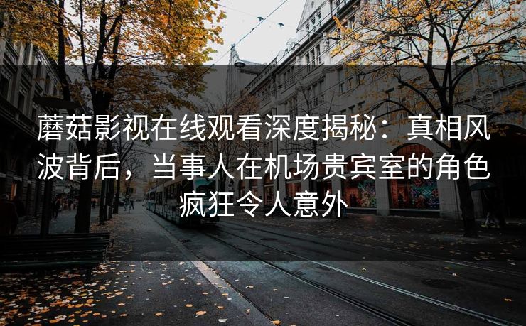 蘑菇影视在线观看深度揭秘：真相风波背后，当事人在机场贵宾室的角色疯狂令人意外