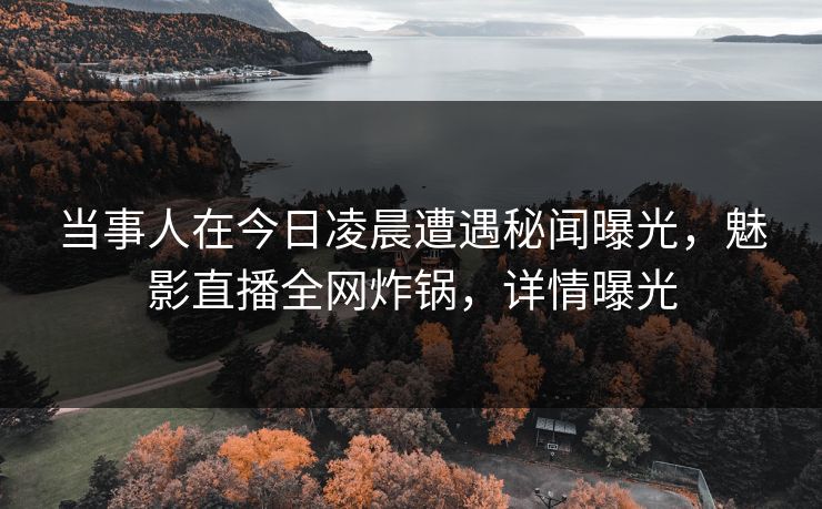 当事人在今日凌晨遭遇秘闻曝光，魅影直播全网炸锅，详情曝光